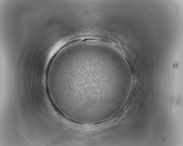 X0000094200006200711021103