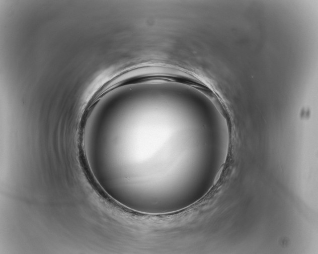 X0000094200007200711021103