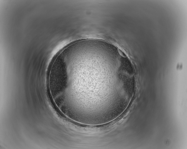 X0000094200008200711021103