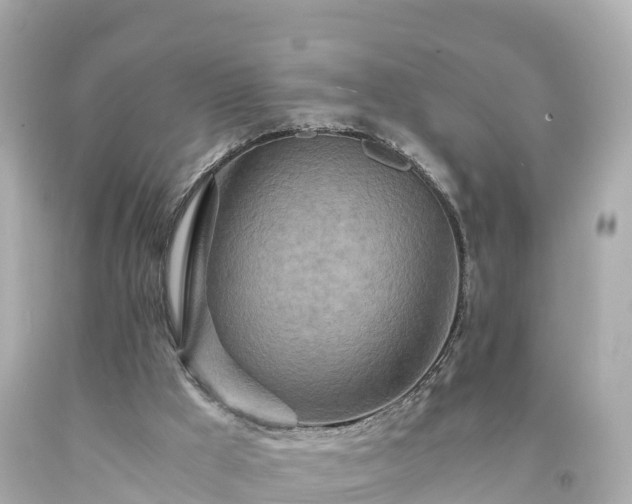 X0000094200009200711021103