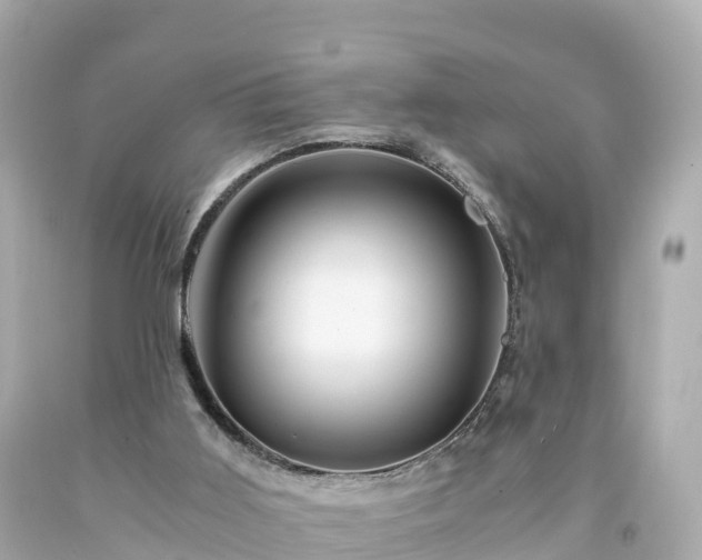X0000094200011200711021103