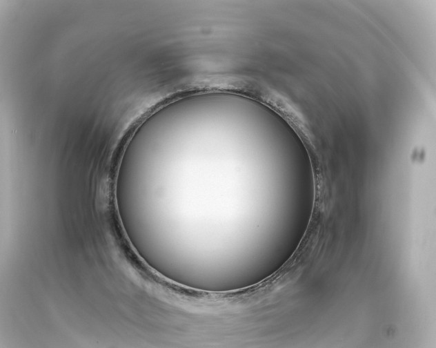 X0000094200012200711021103