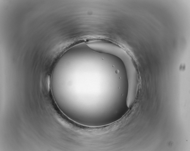 X0000094200013200711021103