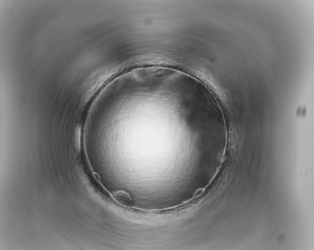 X0000094200014200711021103