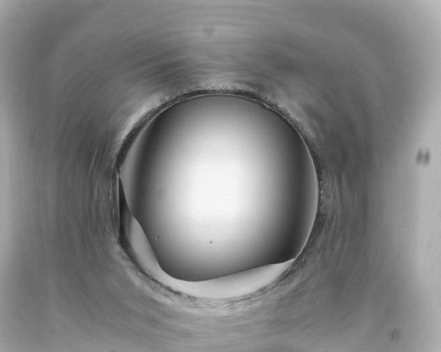 X0000094200015200711021103