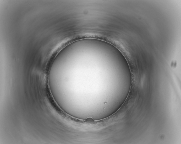 X0000094200016200711021103