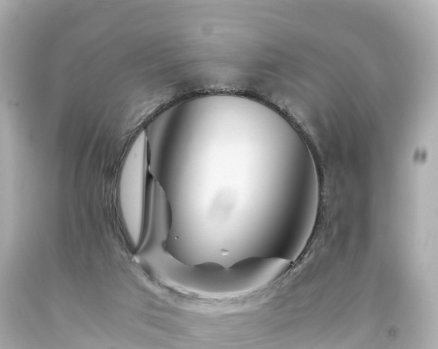 X0000094200017200711021103