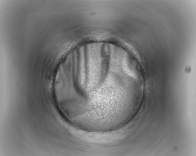 X0000094200018200711021103