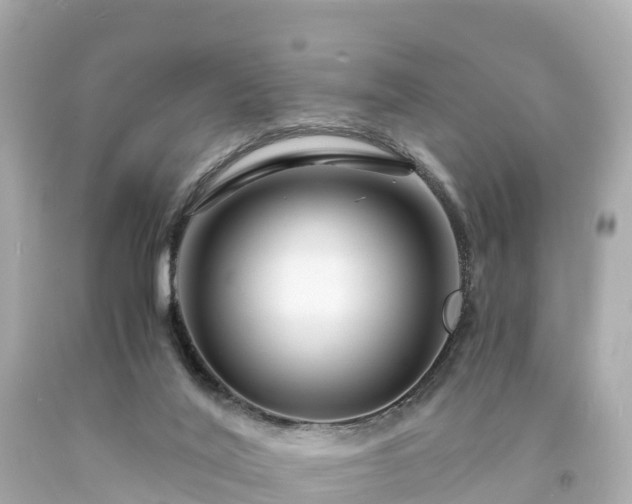 X0000094200020200711021103