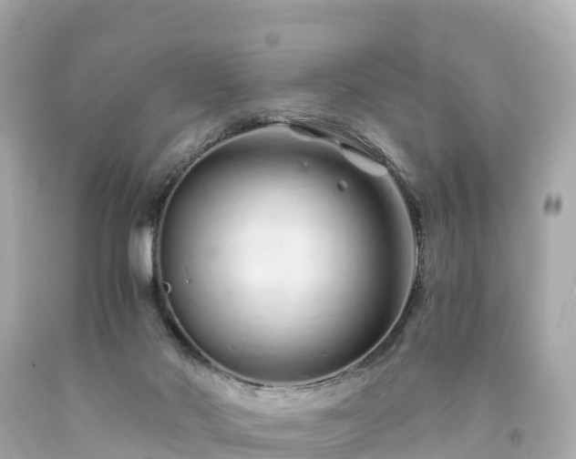 X0000094200022200711021103