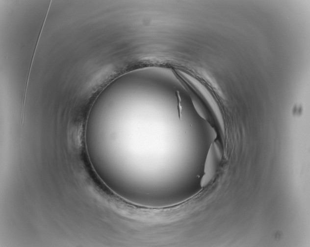 X0000094200023200711021103