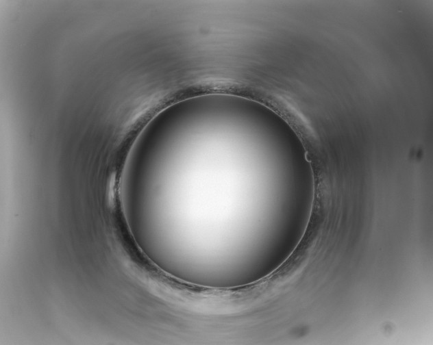 X0000094200024200711021103