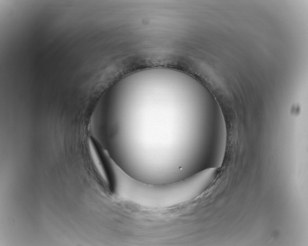 X0000094200025200711021103