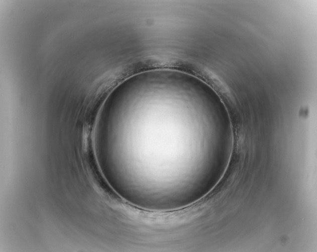 X0000094200026200711021103