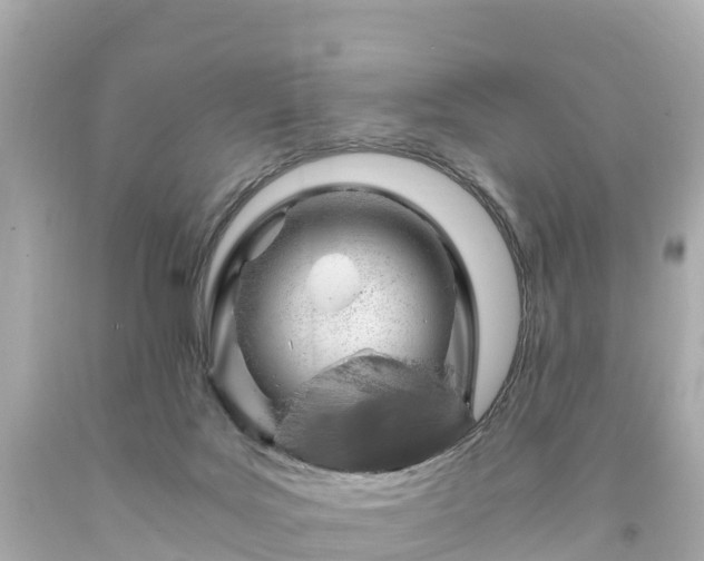 X0000094200027200711021103
