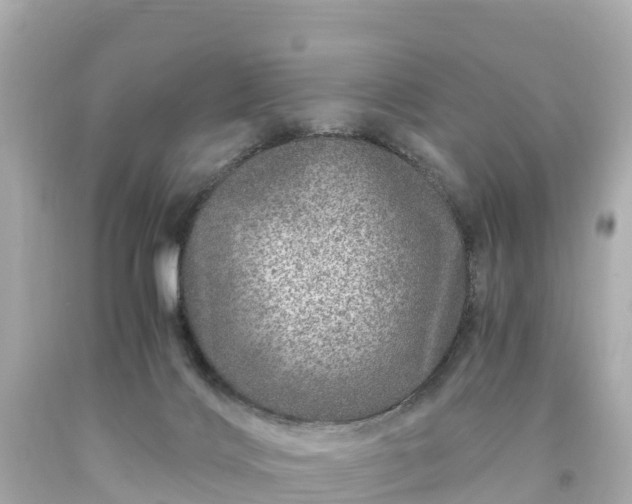 X0000094200028200711021103