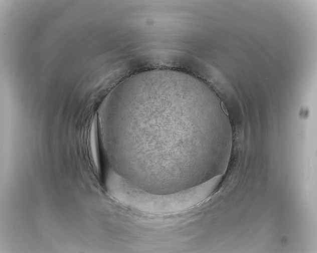 X0000094200029200711021103