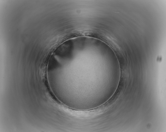 X0000094200030200711021103