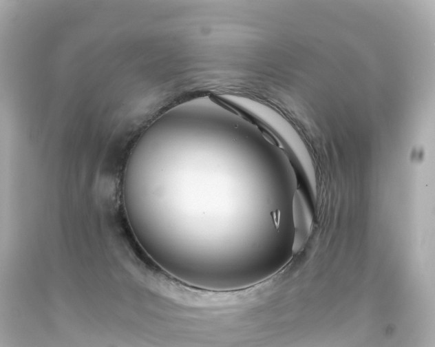 X0000094200031200711021103