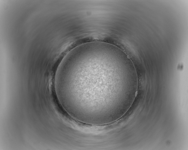 X0000094200032200711021103