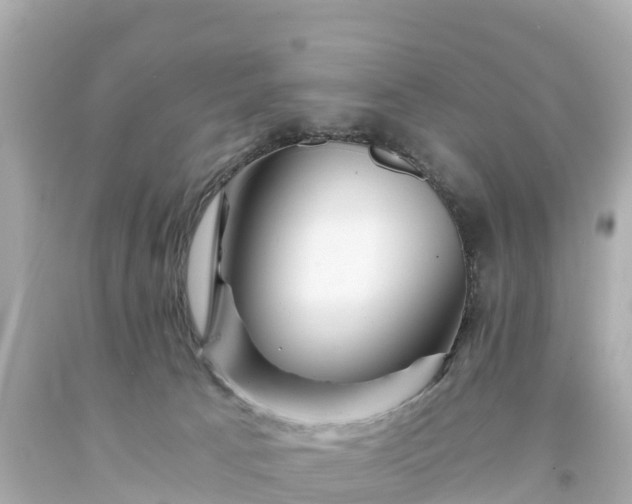 X0000094200033200711021103