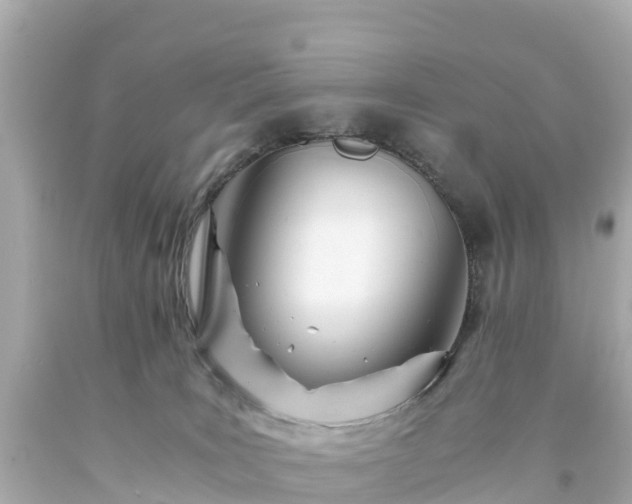 X0000094200035200711021103