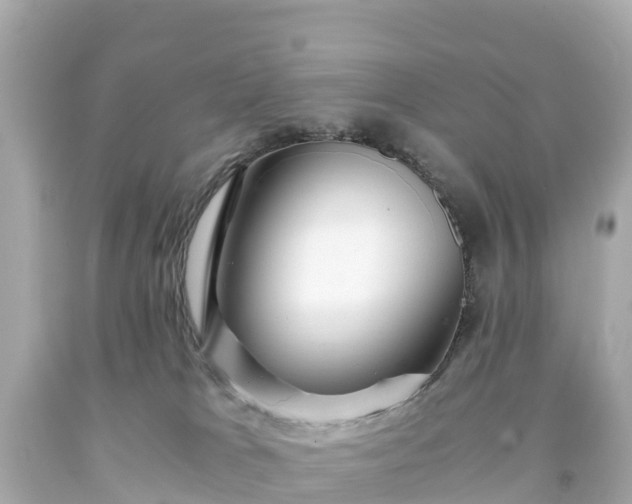 X0000094200037200711021103