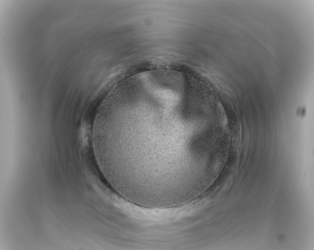 X0000094200038200711021103