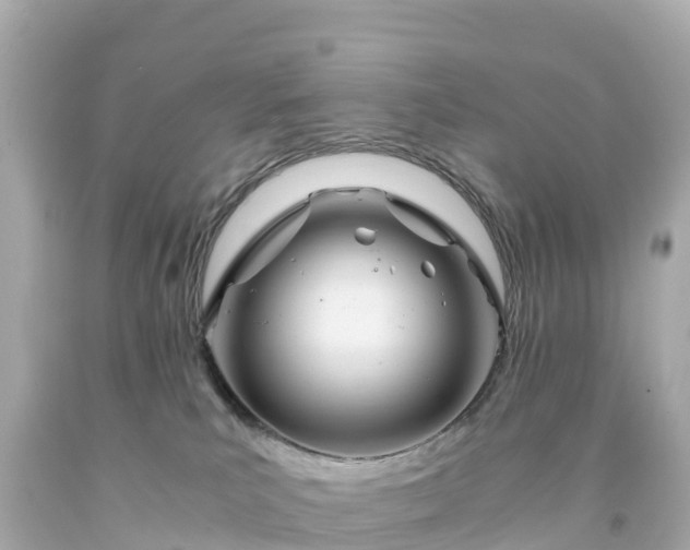 X0000094200039200711021103