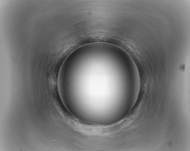 X0000094200040200711021103