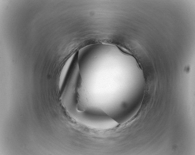 X0000094200041200711021103