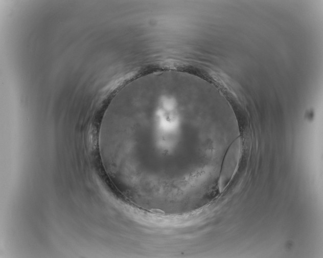 X0000094200043200711021103