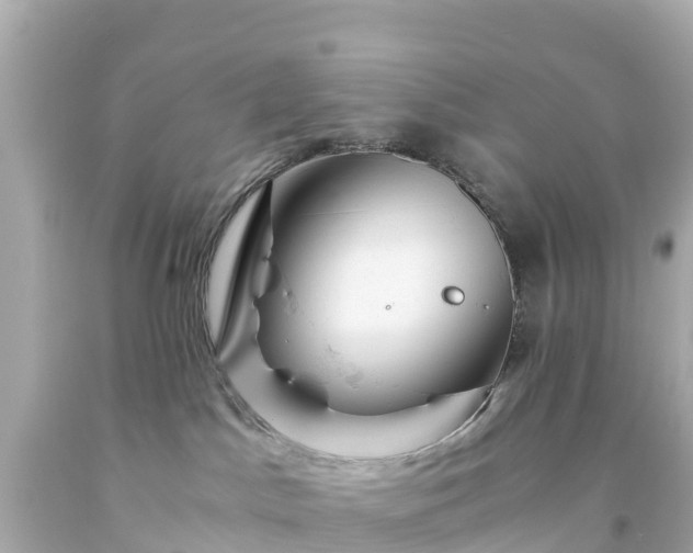 X0000094200045200711021102