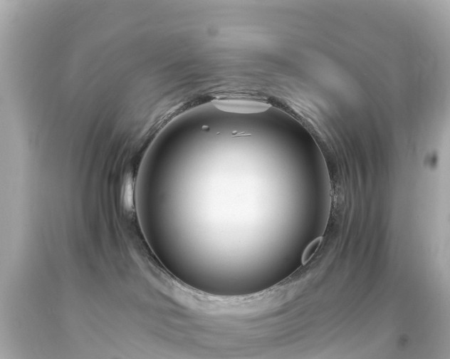 X0000094200046200711021102