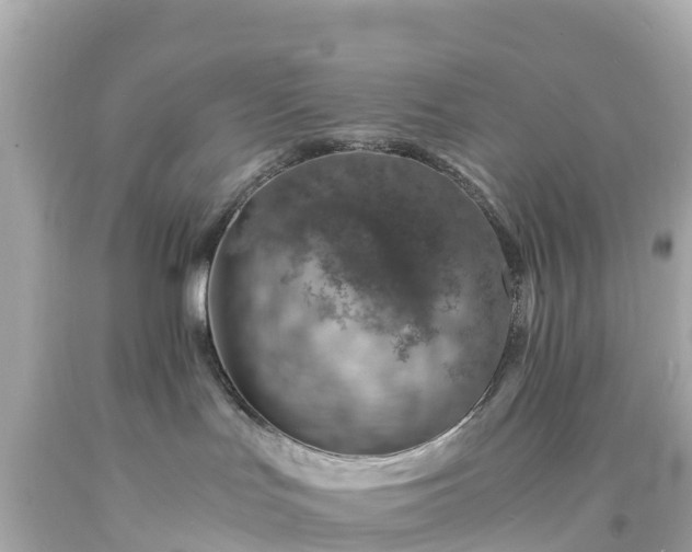 X0000094200047200711021102