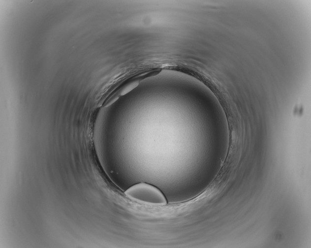 X0000094200048200711021102