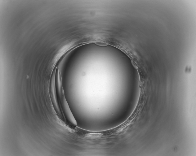 X0000094200051200711021102