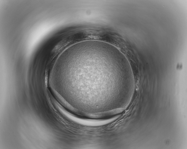X0000094200052200711021102