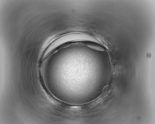 X0000094200053200711021102