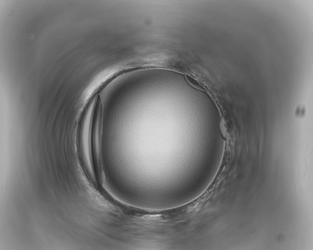 X0000094200054200711021102