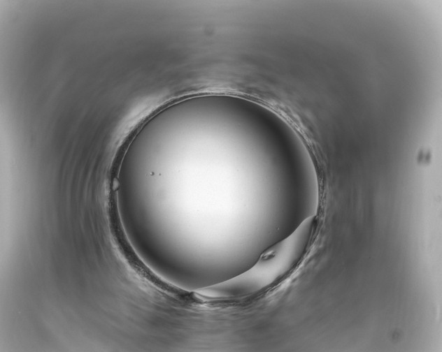 X0000094200055200711021102