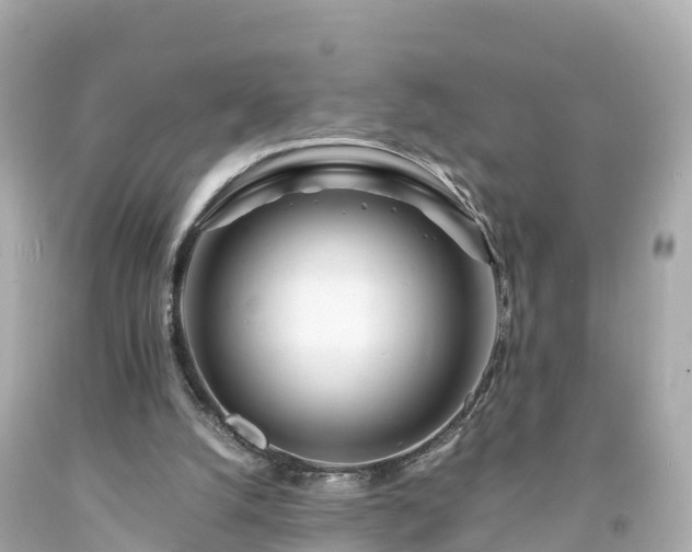 X0000094200056200711021102