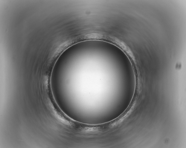 X0000094200057200711021102