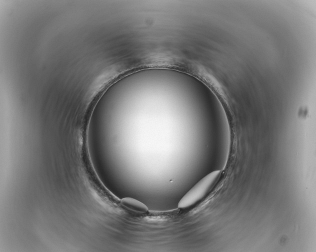 X0000094200059200711021102