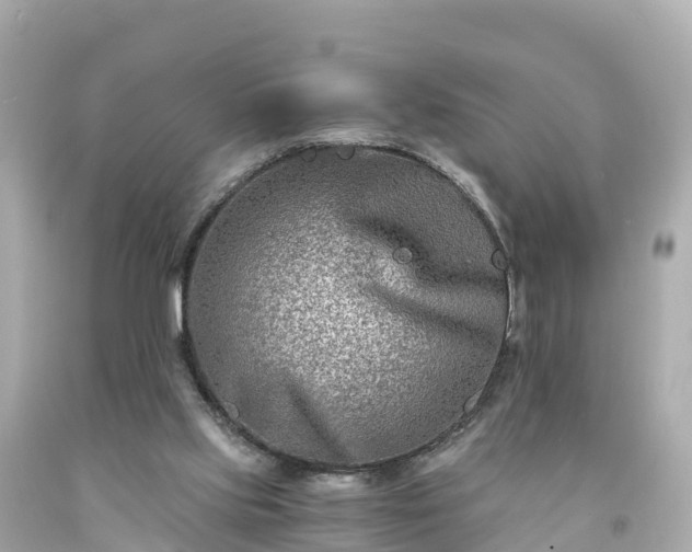 X0000094200061200711021102