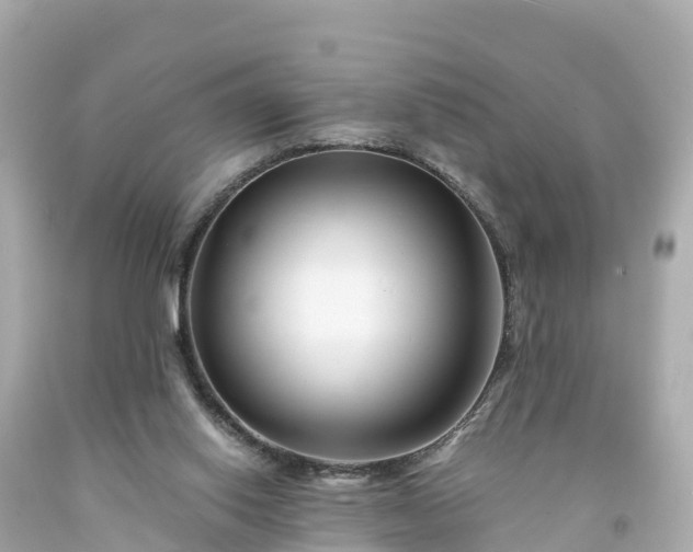 X0000094200062200711021102