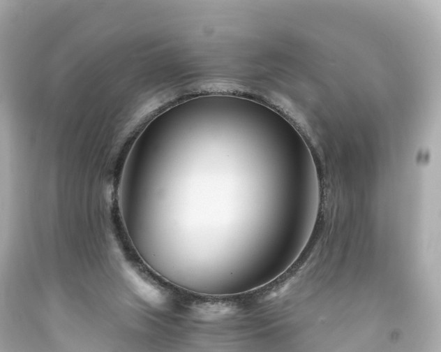 X0000094200063200711021102