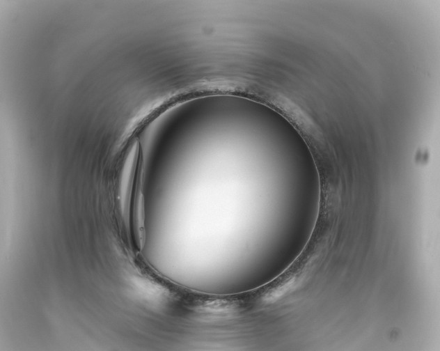 X0000094200064200711021102