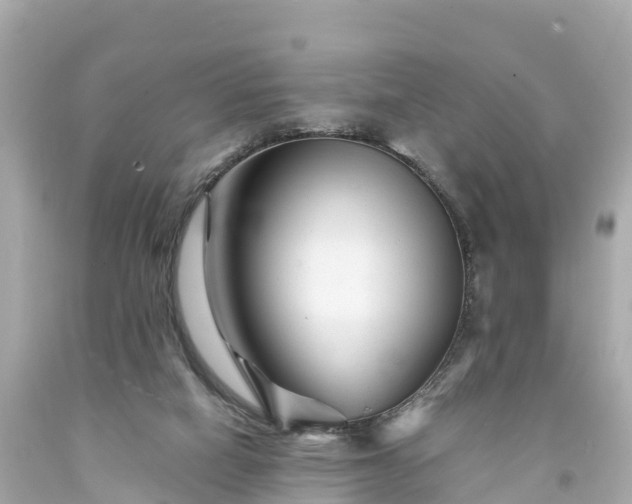 X0000094200066200711021102