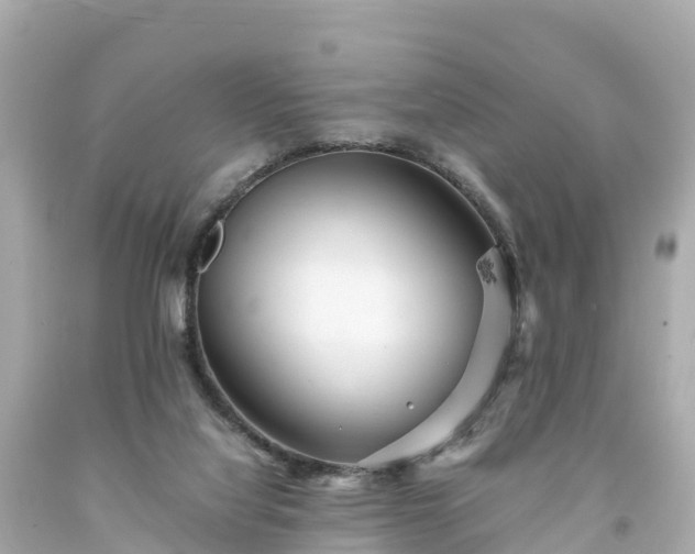 X0000094200068200711021102